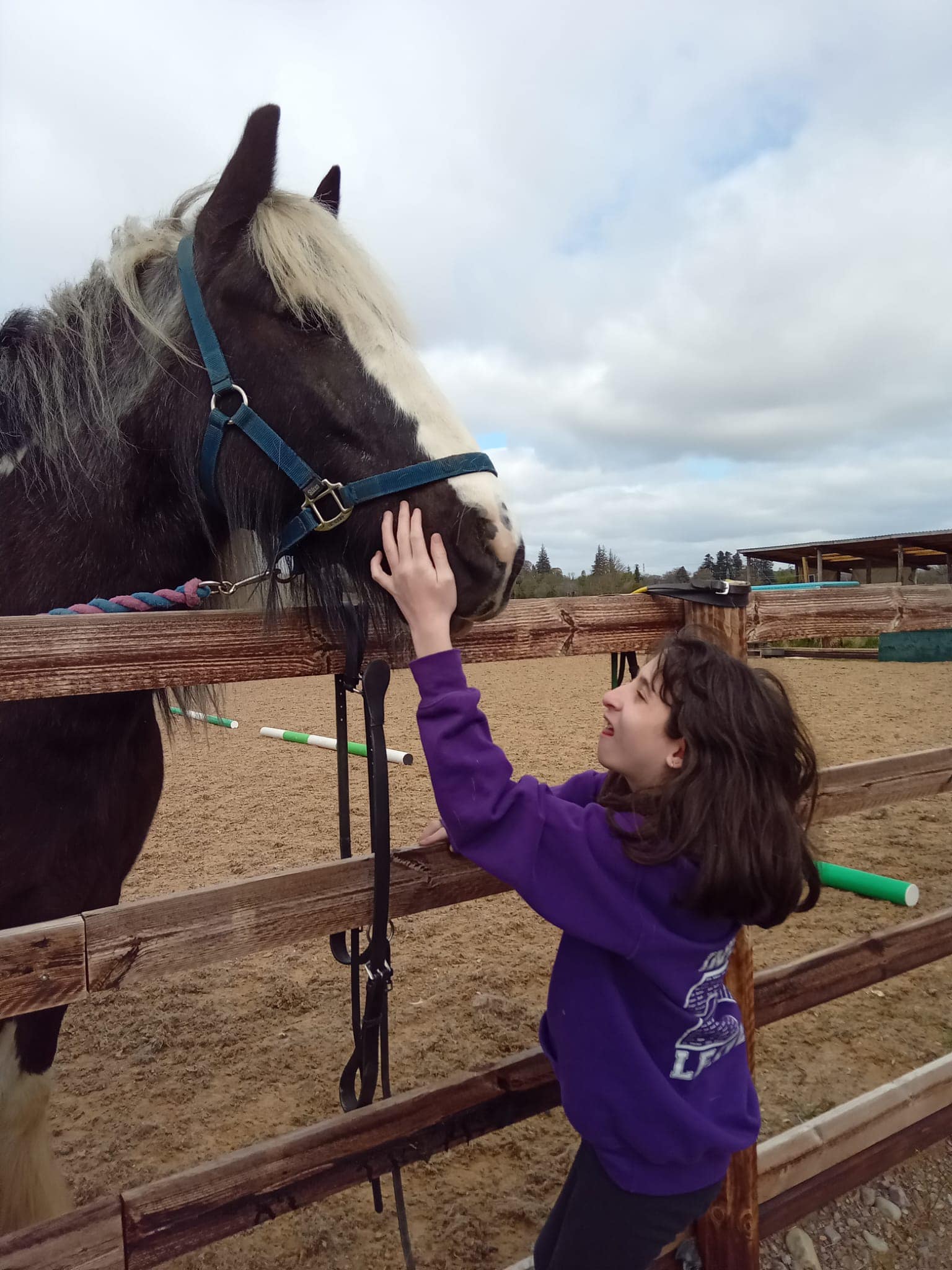 Highland Group RDA participant connecting with therapy horse in authentic Highland setting